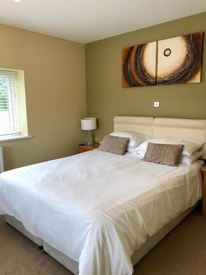 Emlyn Arms Bed & Breakfast Llanarthney Екстериор снимка