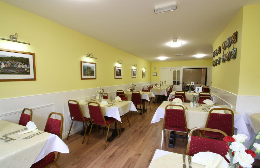 Emlyn Arms Bed & Breakfast Llanarthney Екстериор снимка