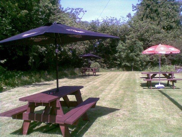 Emlyn Arms Bed & Breakfast Llanarthney Екстериор снимка